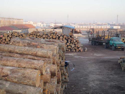 木材加工基地